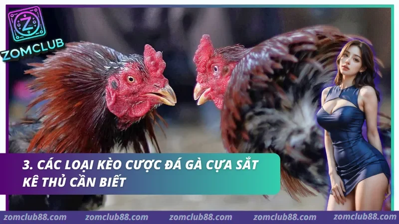 Các loại kèo cược Đá gà cựa sắt kê thủ cần biết