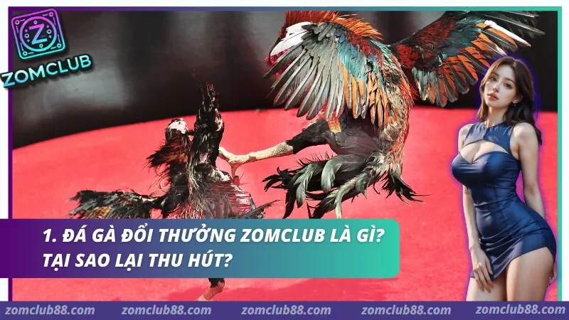 da-ga-doi-thuong-zomclub-1.webp Đá gà đổi thưởng Zomclub – Sân chơi mang lại những cảm xúc kịch tính và trải nghiệm chân thực.
