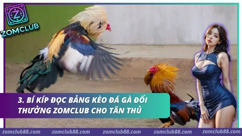 da-ga-doi-thuong-zomclub-2.webp Giao diện đặt cược Đá gà đổi thưởng Zomclub được thiết kế trực quan, dễ dàng thao tác.