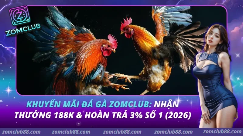 Khuyến Mãi Đá Gà Zomclub: Nhận Thưởng 188K & Hoàn Trả 3% Số 1 (2026) Khuyến Mãi Đá Gà Zomclub: Nhận Thưởng 188K & Hoàn Trả 3% Số 1 (2026)