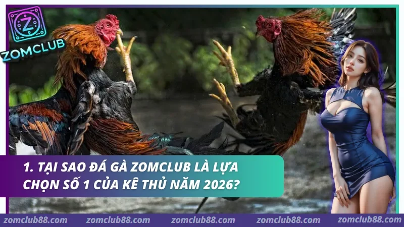 Hình ảnh Kinh Nghiem Da Ga Zomclub 1 trong bài viết Kinh nghiệm chơi Xóc đĩa Zomclub: Bí kíp Soi cầu & Quản vốn 2026. Đá Gà Zomclub là lựa chọn số 1 của kê thủ năm 2026