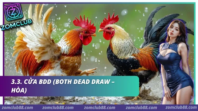Hình ảnh Kinh Nghiem Da Ga Zomclub 3 trong bài viết Kinh nghiệm chơi Xóc đĩa Zomclub: Bí kíp Soi cầu & Quản vốn 2026. Bảng cược hiển thị rõ ràng tỷ lệ Odds thay đổi theo thời gian thực (Real-time) giúp hội viên dễ dàng ra quyết định.