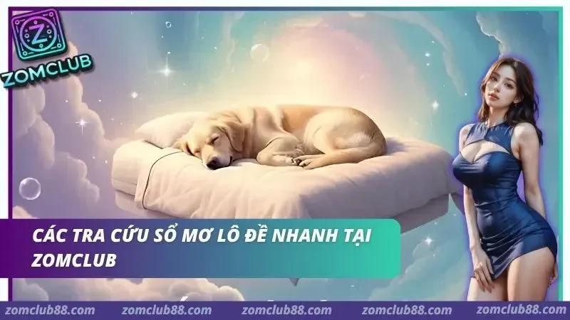 Minh họa hình ảnh và các tình huống xuất hiện trong mơ