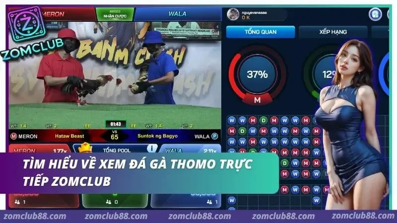 Theo dõi trận đấu thực tế với góc nhìn cận cảnh và chân thực