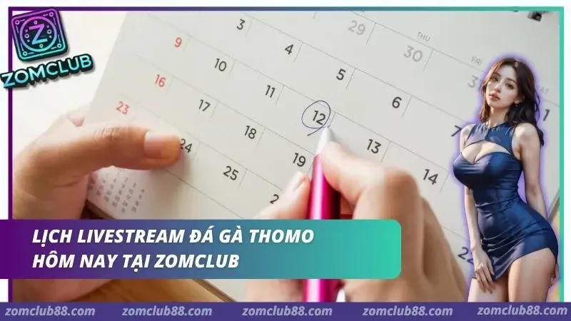 Lịch phát sóng các trận đấu được cập nhật liên tục trong ngày