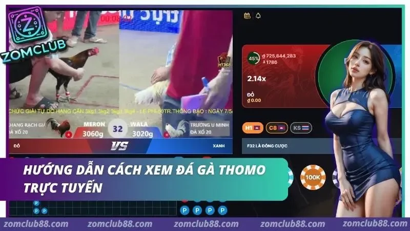 Các bước truy cập và tham gia theo dõi trận đấu nhanh chóng