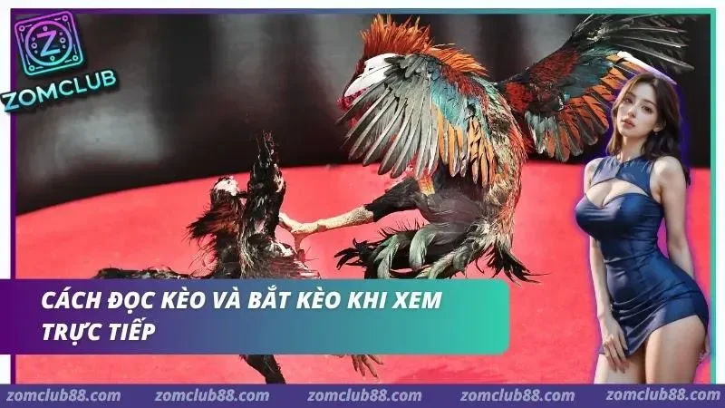 Phân tích bảng tỷ lệ và nhận diện biến động trong trận đấu